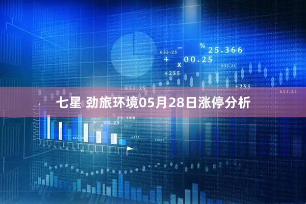 七星 劲旅环境05月28日涨停分析