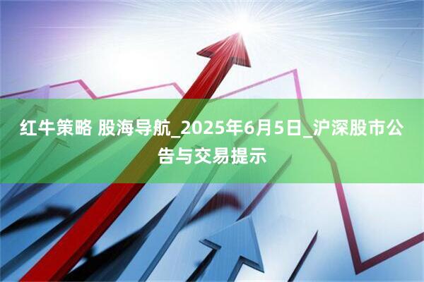 红牛策略 股海导航_2025年6月5日_沪深股市公告与交易提示